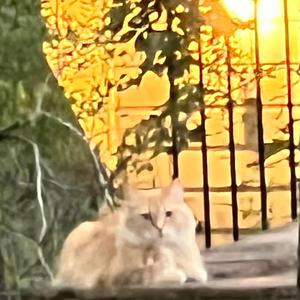 Schrodinger's Cat (feat. Jon Worthy)