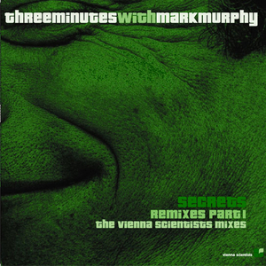 Secret (Freedom Satellite Remix)