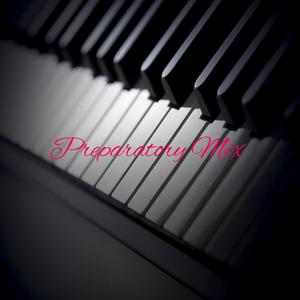 Preparatory Mix