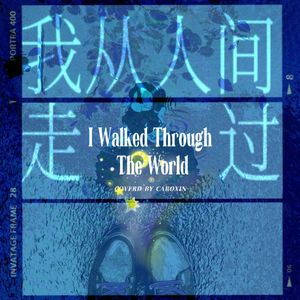 我从人间走过