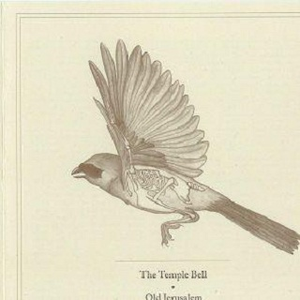 twice the humbling sun