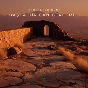 Başka Bir Can Gerekmez