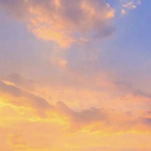 舔狗日记(prod. by NeonMusic)