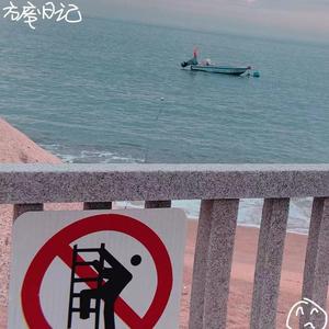 intro-在循环中循环