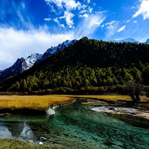 不为谁而做的歌