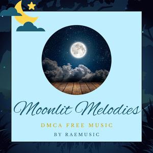 Starry Serenade (DMCA Free Stream Music)