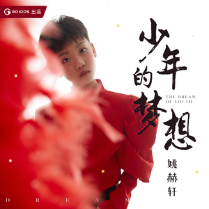少年的梦想