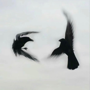 就这样说再见（改）