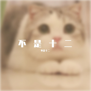 写给黄淮