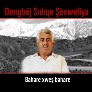 Delel Le Delaliye