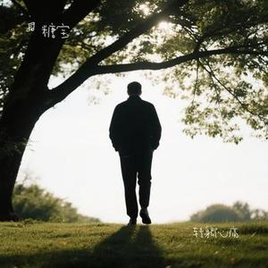 转身即心痛 (糖宝 Remix)