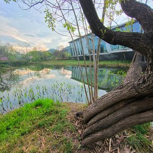 プリズムの下の瞑想 (Contemplation under the Prism)