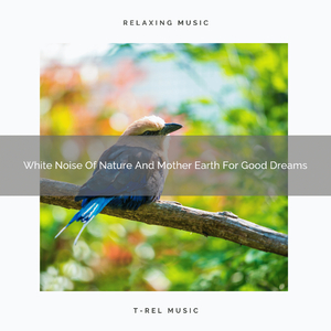 Beautiful Noises Of Sea And Animals For Good Sleep