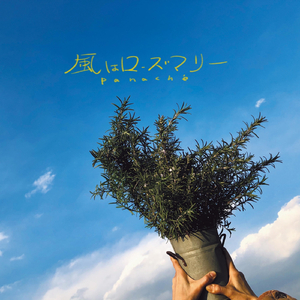 猫はいつも雲の上