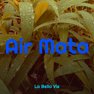 Air Mata