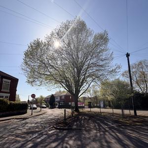 Imitation Of Dignity