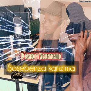 Sosebenza kanzima