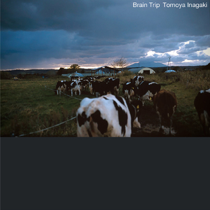 記憶の旅人、海辺の詩人