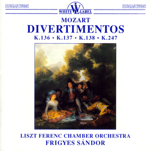 Divertimento in B-Flat Major, K. 137 "Salzburg Symphony No. 2":I. Andante