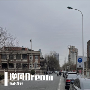 逆风Dream (乐正龙牙/洛天依 ver.)