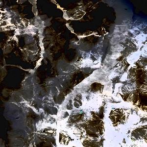 Subterranean Terrestrials