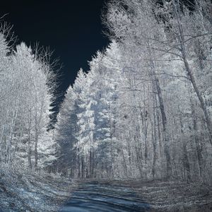 一半疯了一半算了-苏谭谭