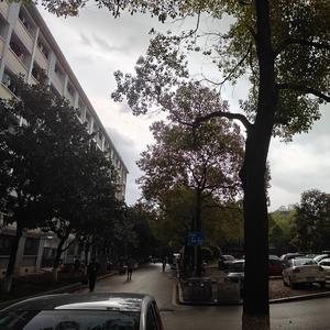 麦恩莉(cover:方大同)