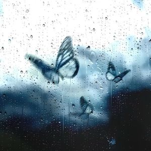 看着我的眼睛说