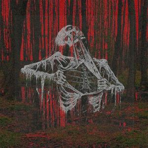 TORIK (slowed+reverb)
