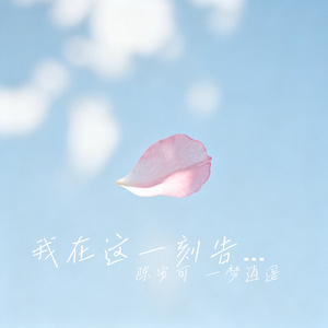 我在这一刻告白
