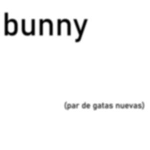 bunny!
