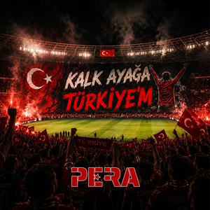 Kalk Ayağa Türkiye'm