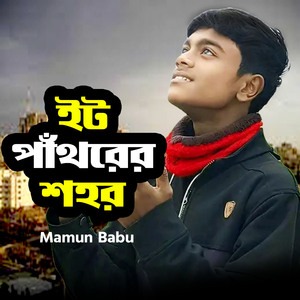 ইট পাঁথরের শহর