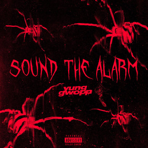 Sound The Alarm