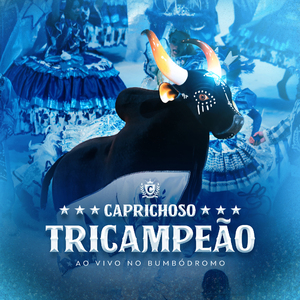 ⁠Instrumental: Raízes de um Povo / Poesia: Feito de Muitas Mãos (Ao Vivo)