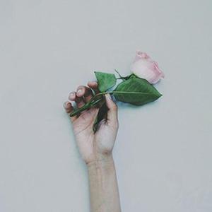 花枝春野（翻自 不才）