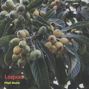 Loquat (Piano)