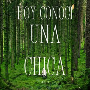 hoy conoci una chica