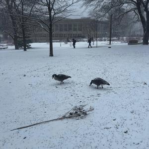 위대한 자리에 서서