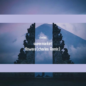 Ed Sheeran-supermarket flowers（charles / DJMKT remix）