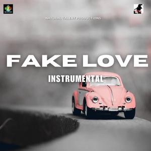 FAKE LOVE INSTRUMENTAL (SYCKA)
