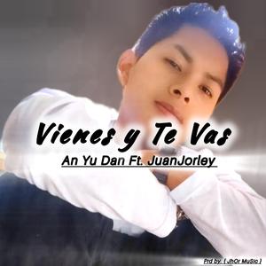 Vienes y Te Vas
