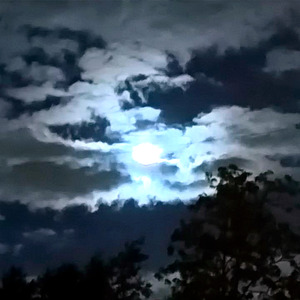 Сладких снов (prod. yngyuuuchi)