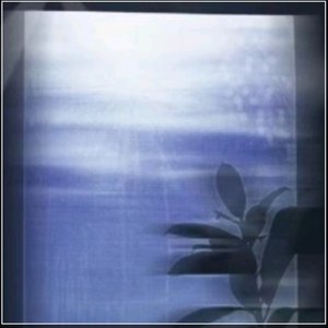 苏公堤（cover:杨一歌）