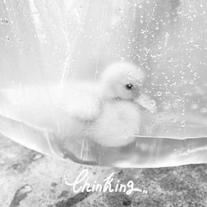 夜光(feat.廿禄柒)