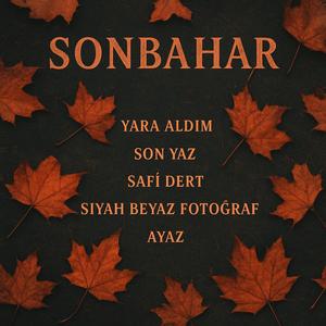 Son Yaz