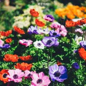 适合旅馆绝妙的音乐