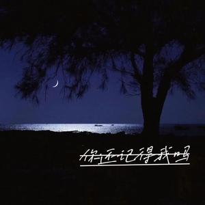 你还记得我吗 - 侯小新 伴奏