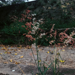 我还有点小糊涂