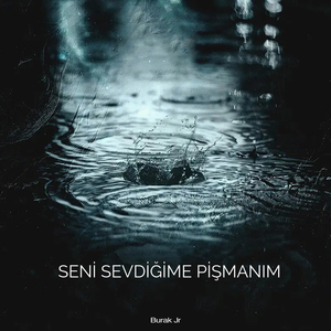 Seni Sevdiğime Pişmanım